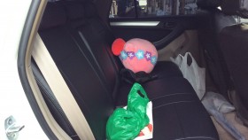 内装後方シート