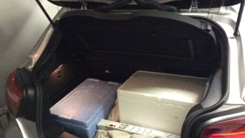 内装トランク