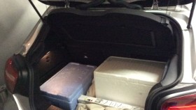 内装トランク