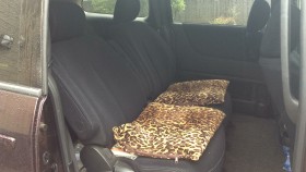 内装後方シート