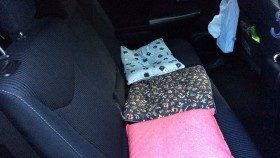 内装後方シート