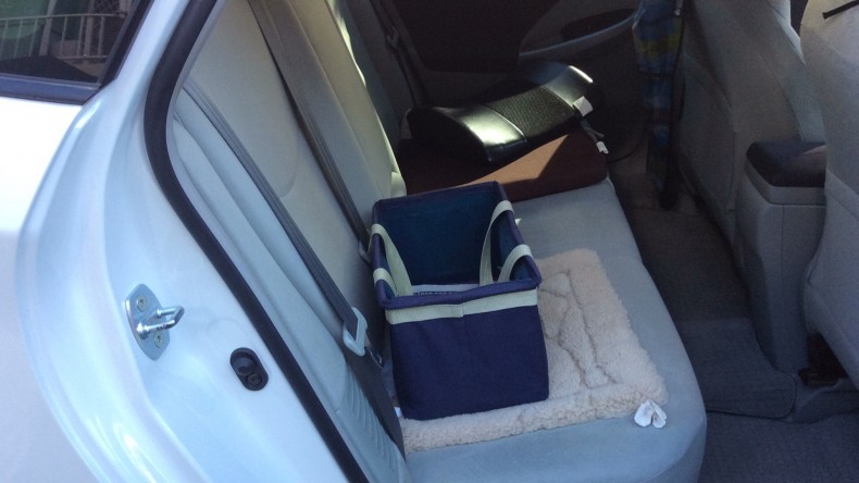 内装後方シート