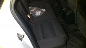 内装後方シート