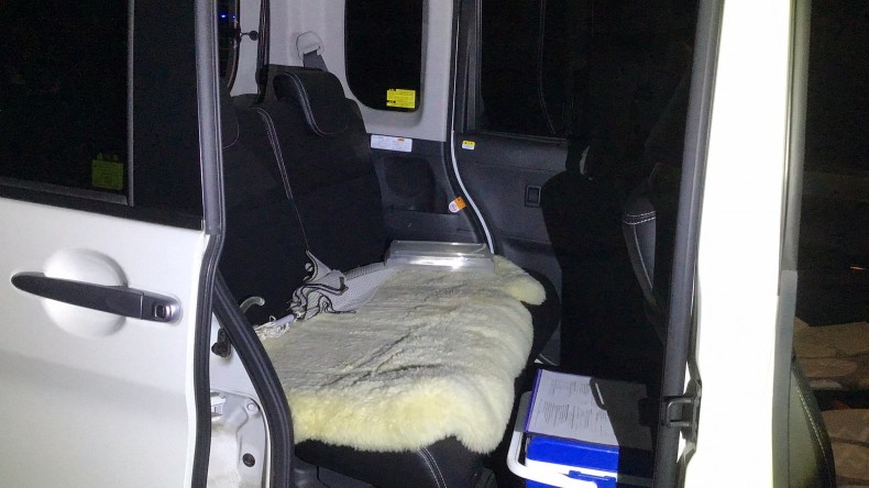 内装後方シート