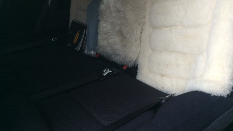 内装後方シート