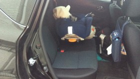 内装後方シート