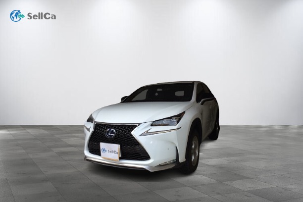 レクサス/ＮＸ-13619