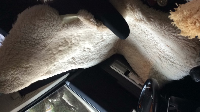 内装前方シート