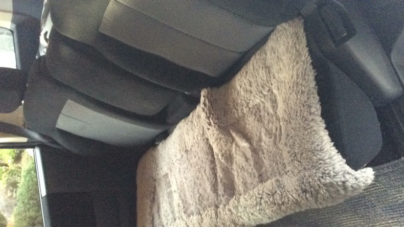 内装後方シート