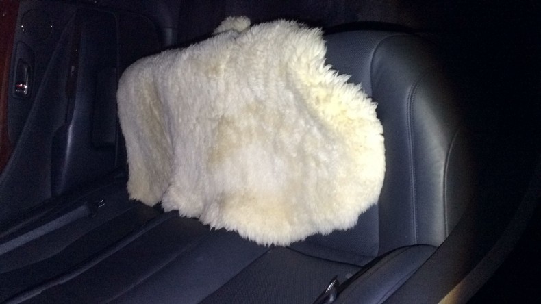 内装後方シート