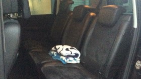 内装後方シート