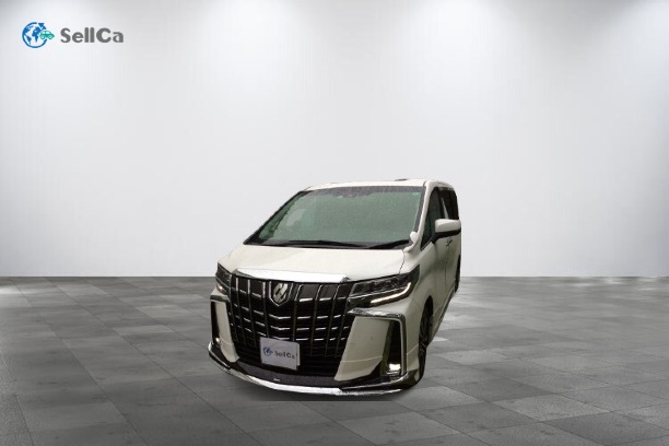 トヨタ/アルファード-17288