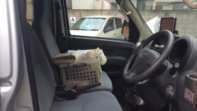 内装前方シート