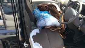 内装前方シート