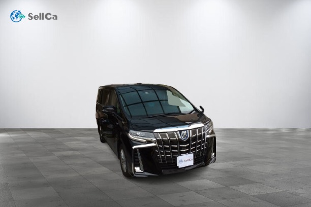 トヨタ/アルファードハイブリッド-18704