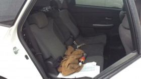 内装後方シート