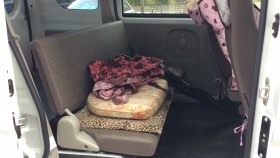 内装後方シート