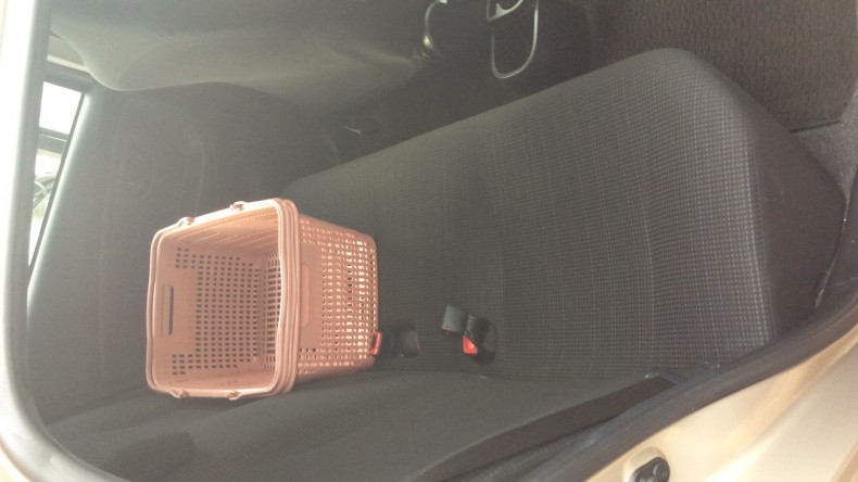 内装後方シート