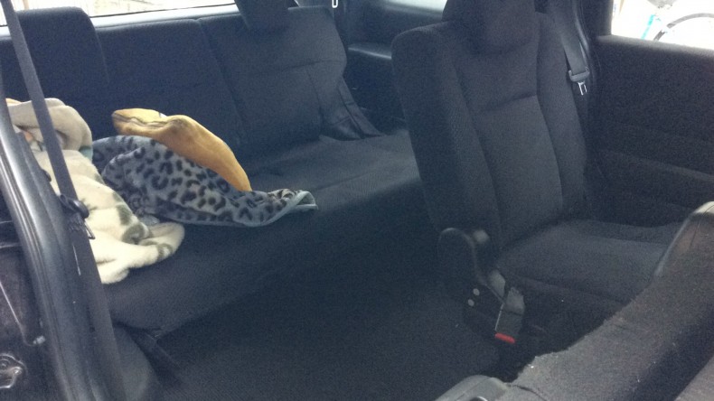 内装後方シート