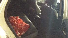 内装後方シート