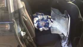 内装後方シート