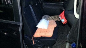 内装後方シート