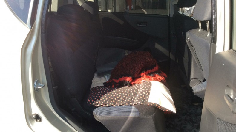 内装後方シート