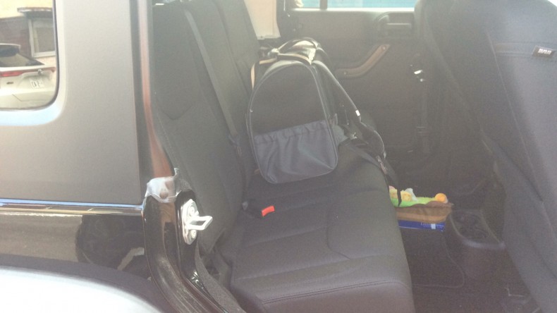 内装後方シート