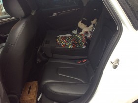 内装後方シート