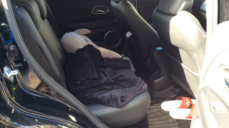 内装後方シート