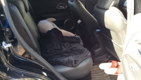 内装後方シート