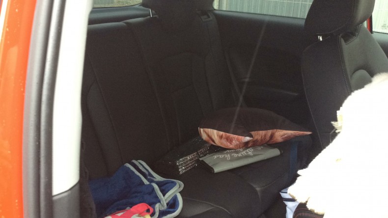 内装後方シート