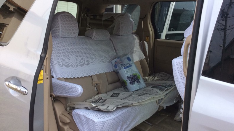 内装後方シート