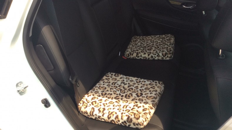 内装後方シート