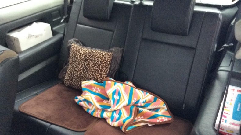 内装後方シート