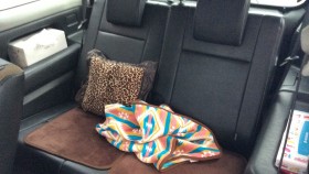 内装後方シート