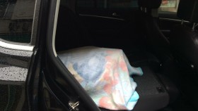 内装後方シート