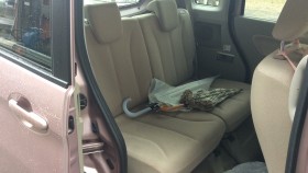 内装後方シート