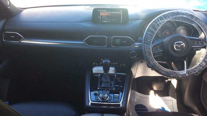 内装インパネ全体