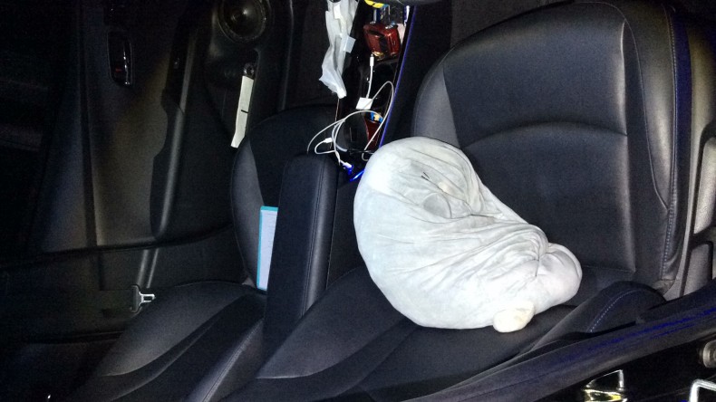 内装前方シート