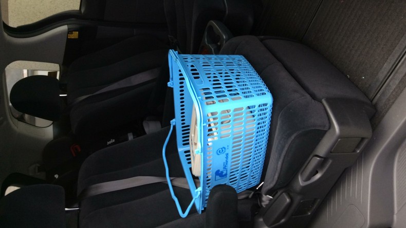 内装後方シート