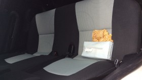 内装後方シート