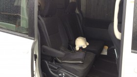 内装後方シート