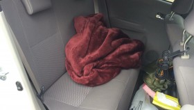 内装後方シート