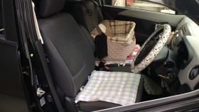 内装前方シート