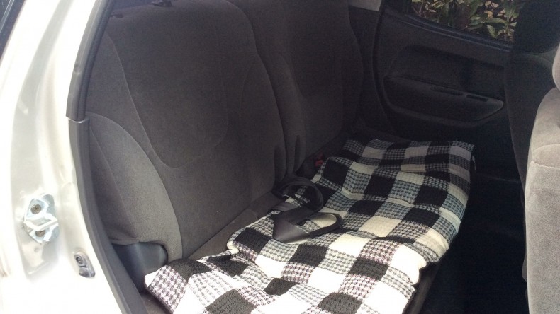 内装後方シート