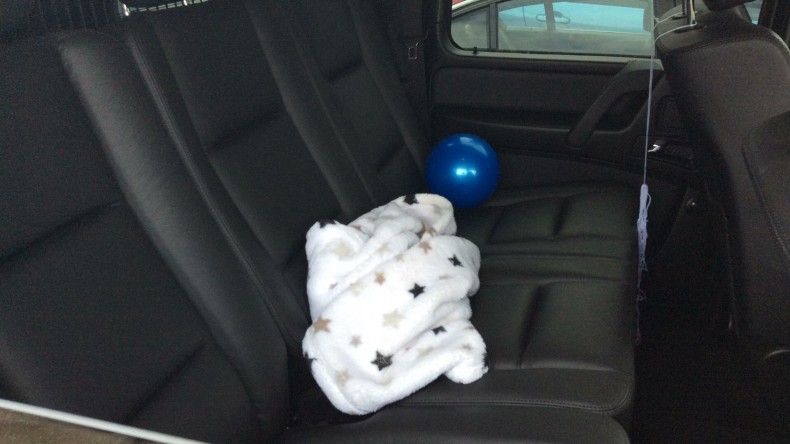 内装後方シート