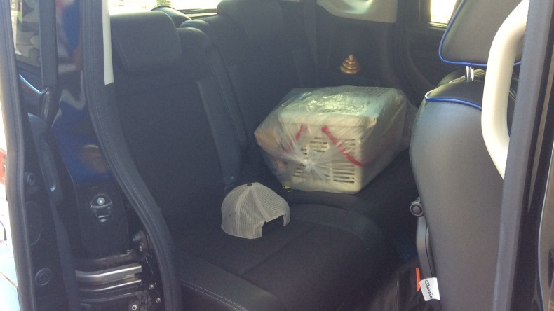 内装後方シート