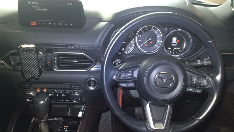 内装インパネ全体