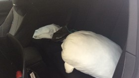 内装後方シート